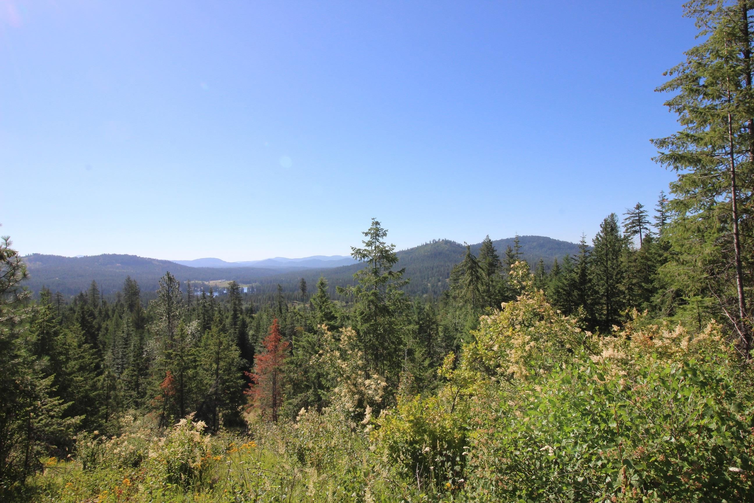 Xxx Buck Creek Road Newport, WA 99156 - Photo 2 of 18