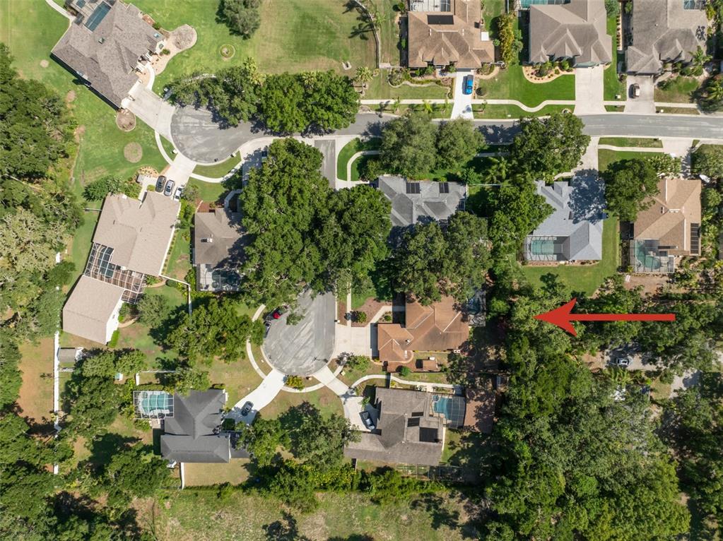 2903 Manor Ridge Place Valrico, FL 33596 - Photo 69 of 72 Gallery Image 69