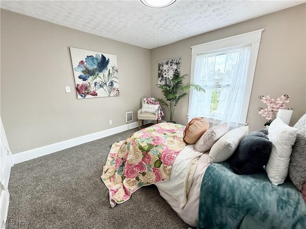 281 Sexton Street Struthers, OH 44471 - Photo 19 of 28 Bedroom featuring carpet flooring and a textured ceiling