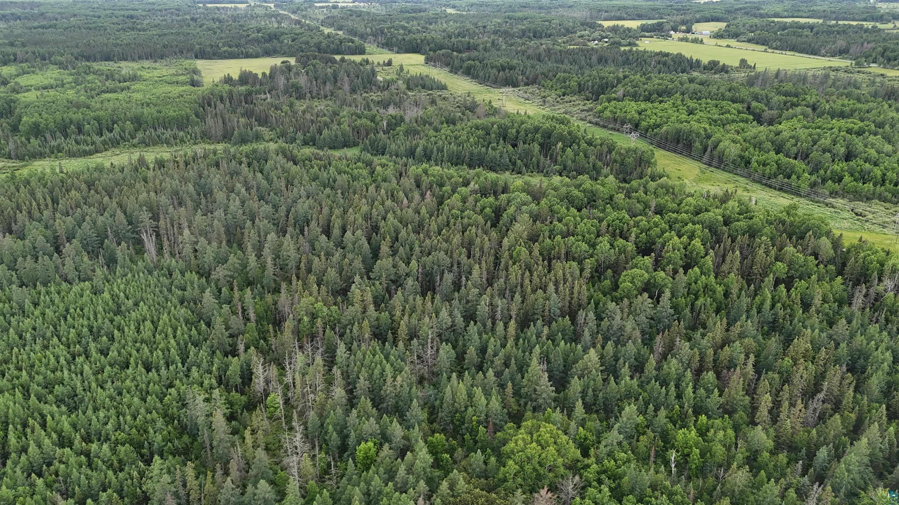 Tbd Quaal Road Forbes, MN 55738 - Photo 23 of 24