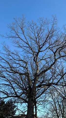 $199,500 | 6866 Zachary Lane North, Maple Grove, MN 55369