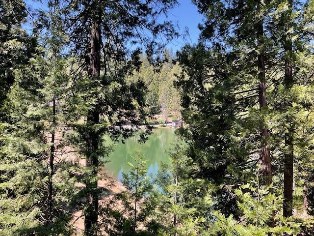 1474 Moran Road Arnold, CA 95223 - Photo 13 of 13