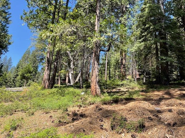 1474 Moran Road Arnold, CA 95223 - Photo 2 of 13