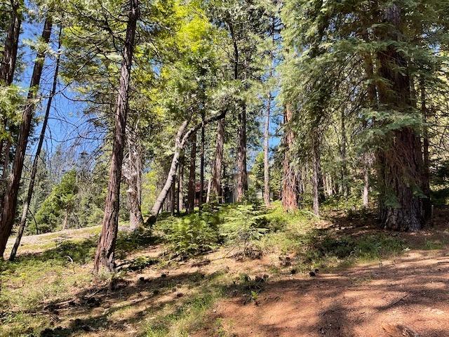 1474 Moran Road Arnold, CA 95223 - Photo 4 of 13