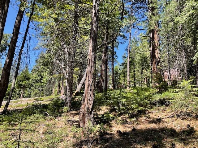 1474 Moran Road Arnold, CA 95223 - Photo 5 of 13