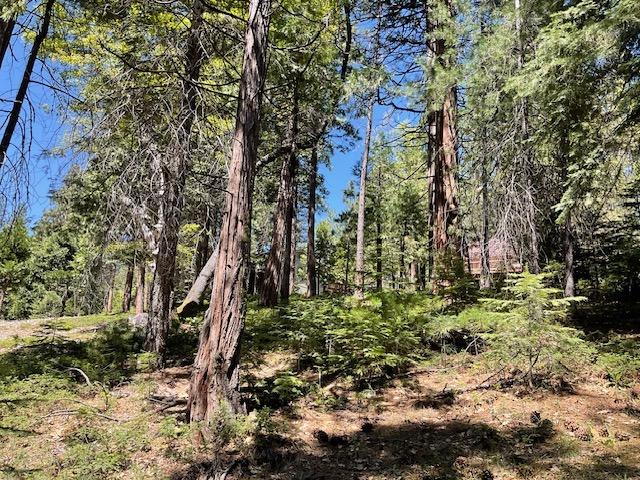 1474 Moran Road Arnold, CA 95223 - Photo 6 of 13