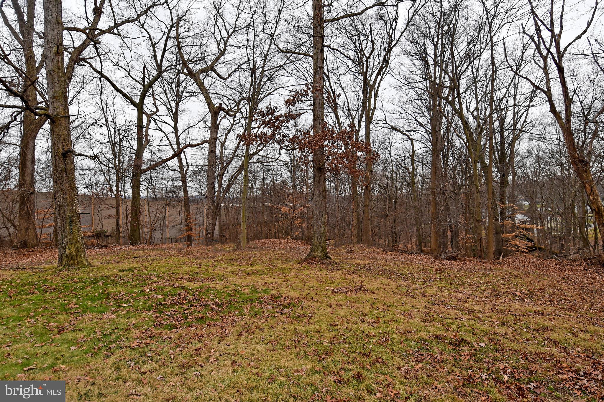 5818 Hunt Club Road Elkridge, MD 21075 - Photo 51 of 56 Gallery Image 51