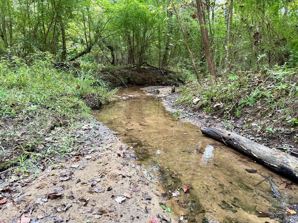 49-acres Mt Zion Road Gordon, AL 36343 - Photo 2 of 21
