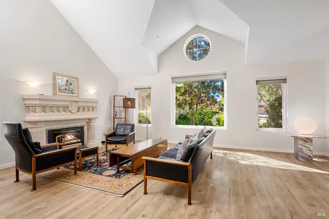 a living room with furniture and a fireplace