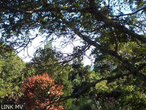 17 Wooton Bassett Road Chilmark, MA 02535 - Photo 3 of 14 http://d1qzqeyxiitrap.cloudfront.net/photos/17083/600/87977298.jpg