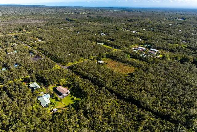 an aerial view of residential houses with outdoor space and trees