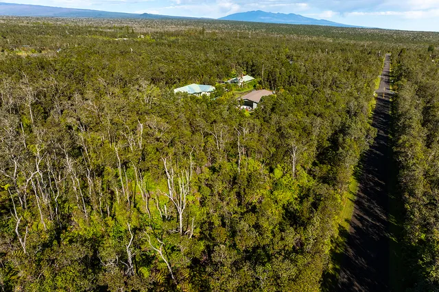 a view of a city with an ocean