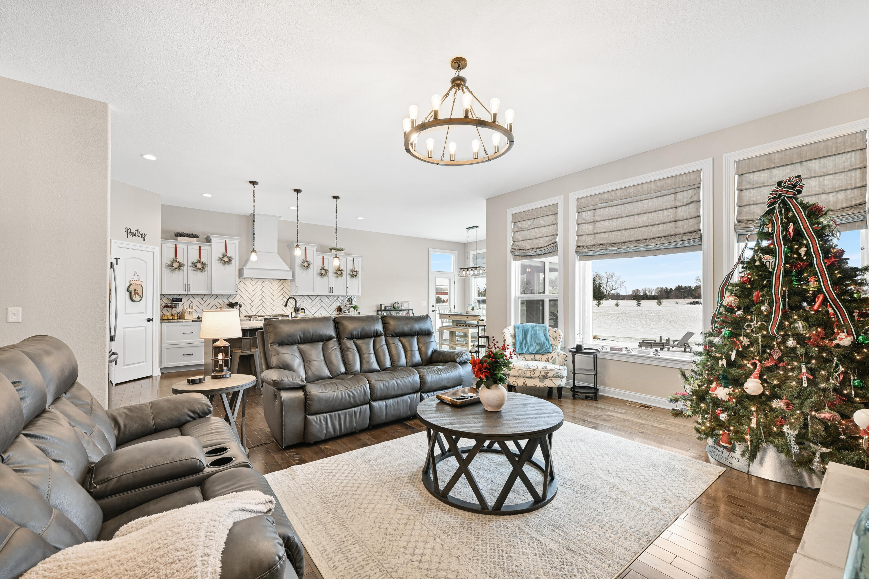 28516 Blue Crane Court Rochester, WI 53185 - Photo 9 of 39 DSC_2 (5)