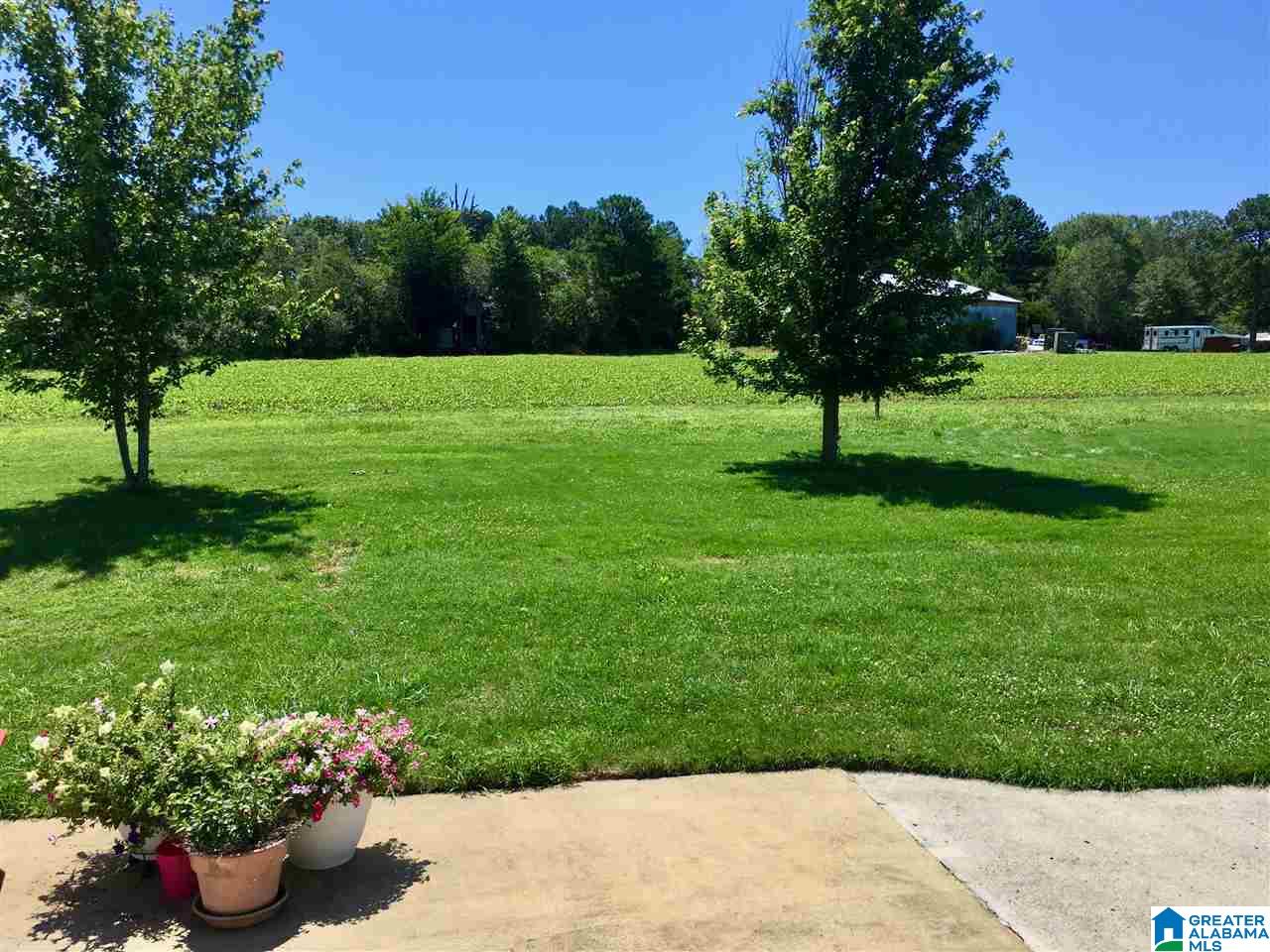 1678 Butts Road Blountsville, AL 35031 - Photo 14 of 41 Gallery Image 14