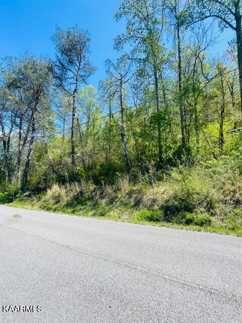 Ivanhoe Road Clinton, TN 37716 - Photo 3 of 6 Ivanhoe Rd. 3