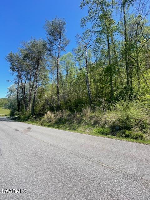 Ivanhoe Road Clinton, TN 37716 - Photo 4 of 6 Ivanhoe Rd. 4