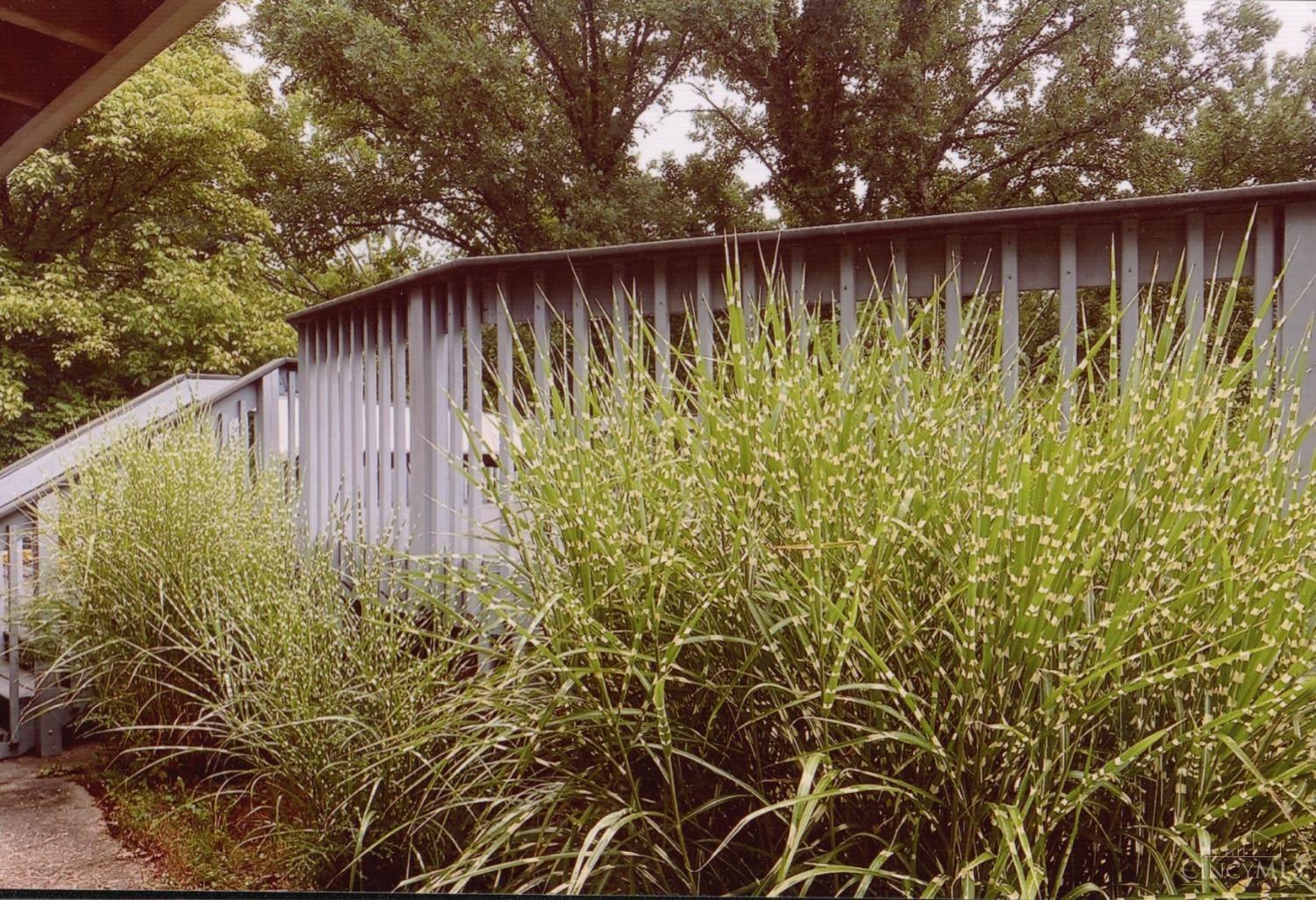 7315 Dog Trot Road Cincinnati, OH 45248 - Photo 36 of 49 Gallery Image 36