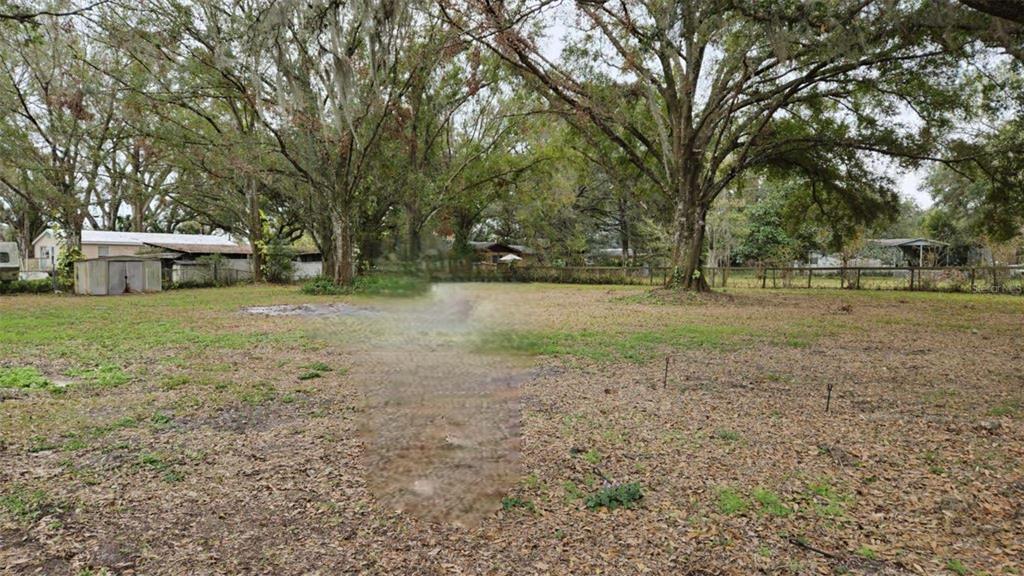 a view of a yard with tree s