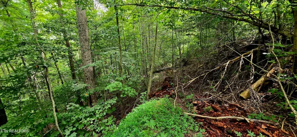 $81,000 | 491 Chetola Trail, Townsend, TN 37882