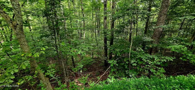 $82,500 | 491 Chetola Trail, Townsend, TN 37882