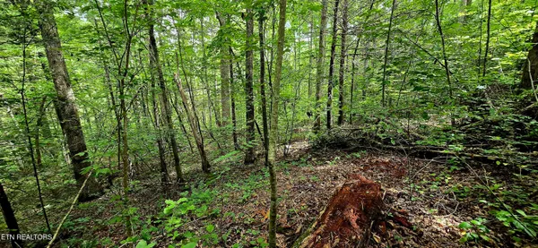 $81,000 | 491 Chetola Trail, Townsend, TN 37882