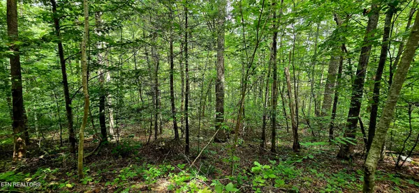 $81,000 | 491 Chetola Trail, Townsend, TN 37882