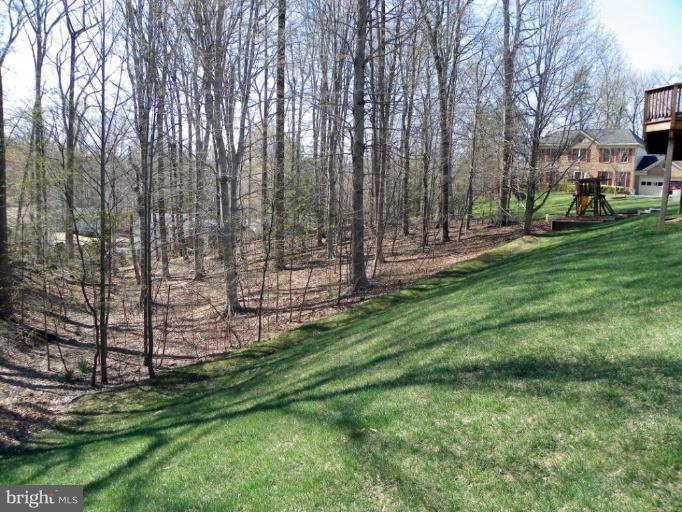 7509 Mullingar Court Springfield, VA 22153 - Photo 6 of 30 Wooded View / Acreage