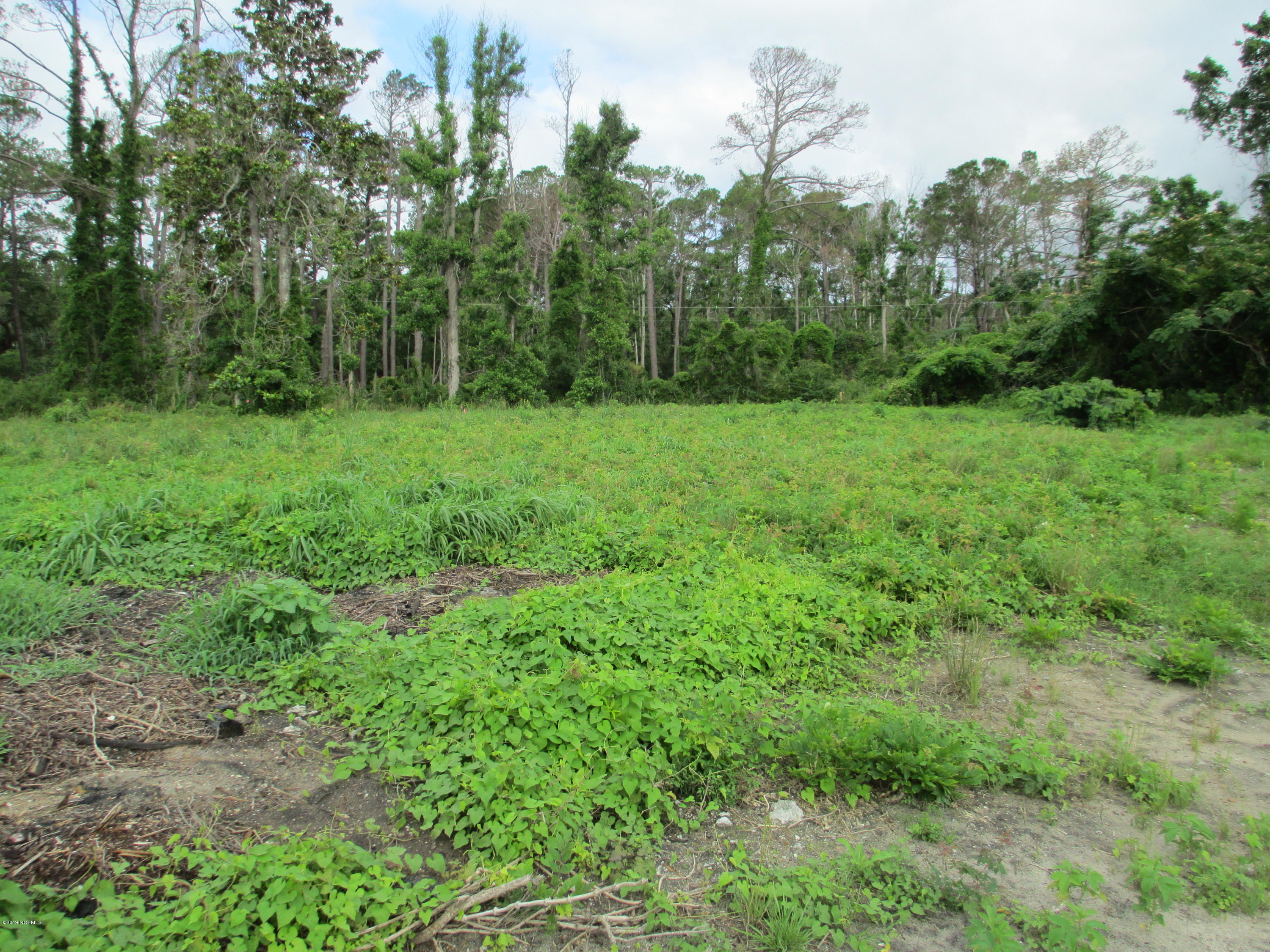 301 Piver Road Beaufort, NC 28516 - Photo 4 of 5 Cleared Building Site