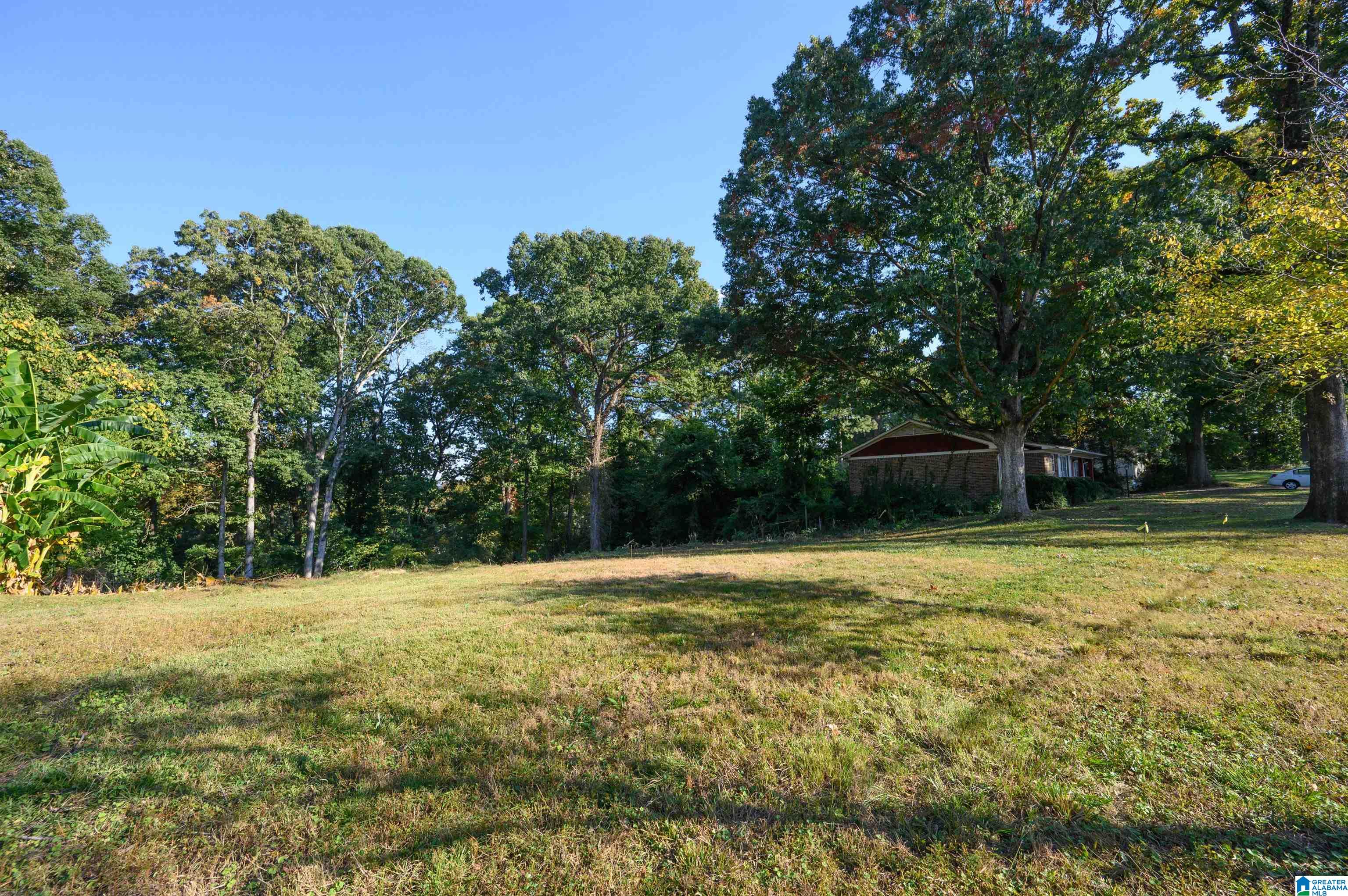 2461 Dolly Ridge Trail, Unit 12 Birmingham, AL 35243 - Photo 4 of 16