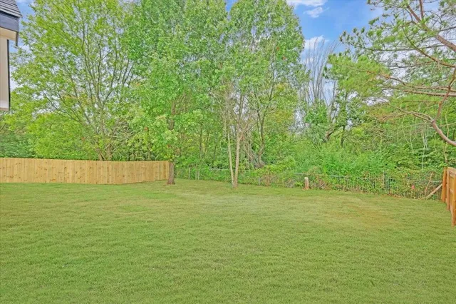 a view of a field with a tree