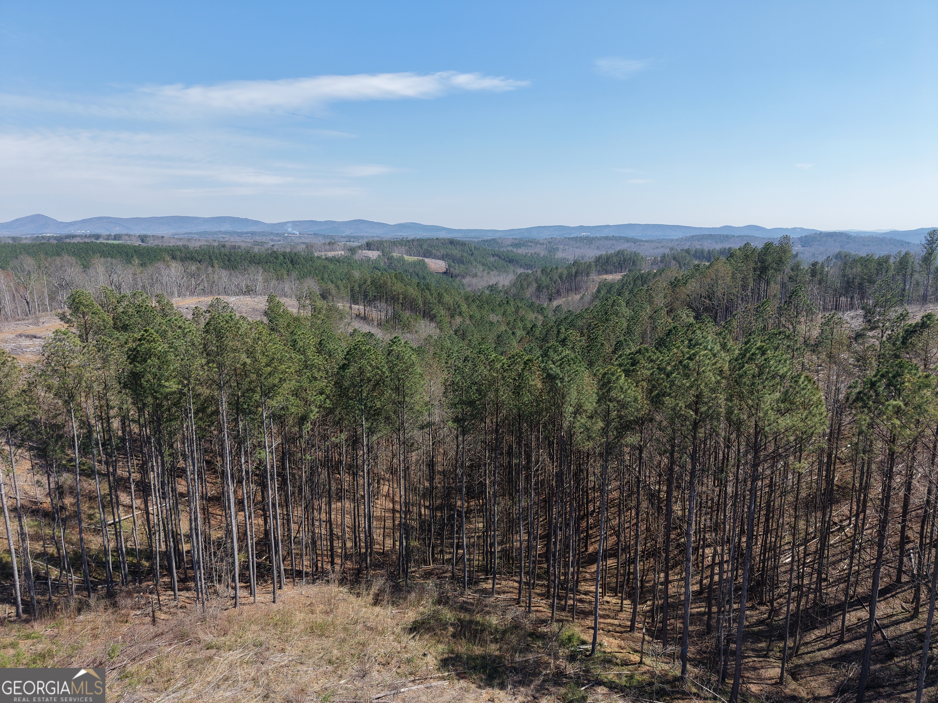 0 Angel Road, Unit 7206 PARCEL D Fairmount, GA 30139 - Photo 41 of 42 Gallery Image 41
