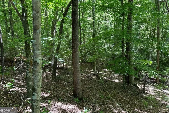 $24,500 | Lot 8 Moore Acres, Hayesville, NC 28904