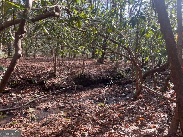 $24,500 | Lot 8 Moore Acres, Hayesville, NC 28904