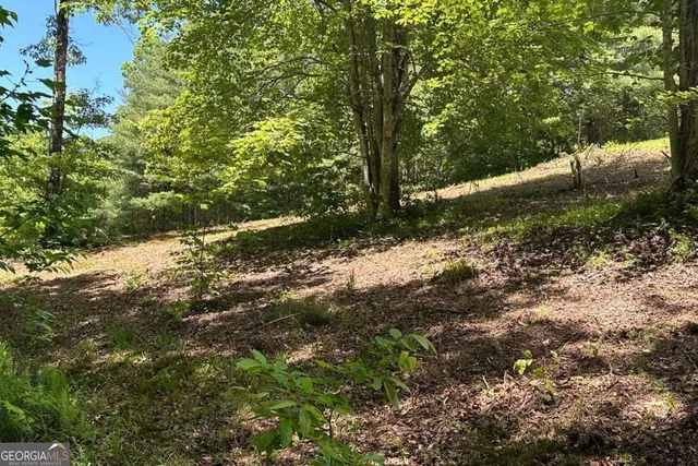 $24,500 | Lot 8 Moore Acres, Hayesville, NC 28904