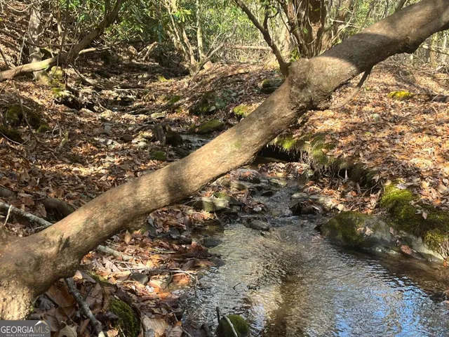 $24,500 | Lot 8 Moore Acres, Hayesville, NC 28904