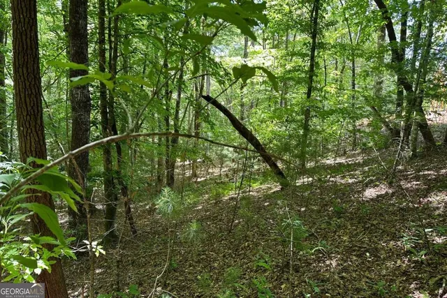 $24,500 | Lot 8 Moore Acres, Hayesville, NC 28904