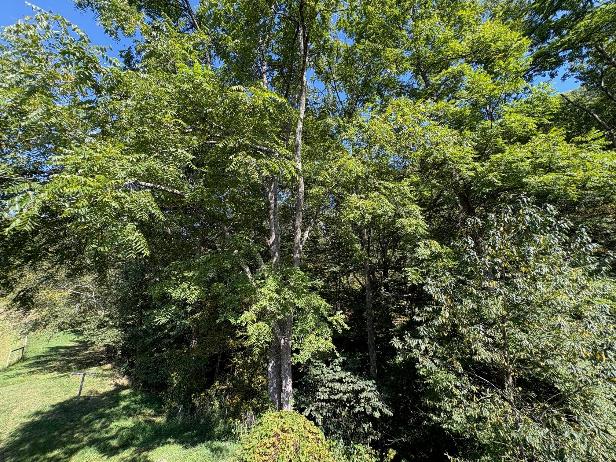 6652 Servia Road Duck, WV 25063 - Photo 57 of 69 Gallery Image 57