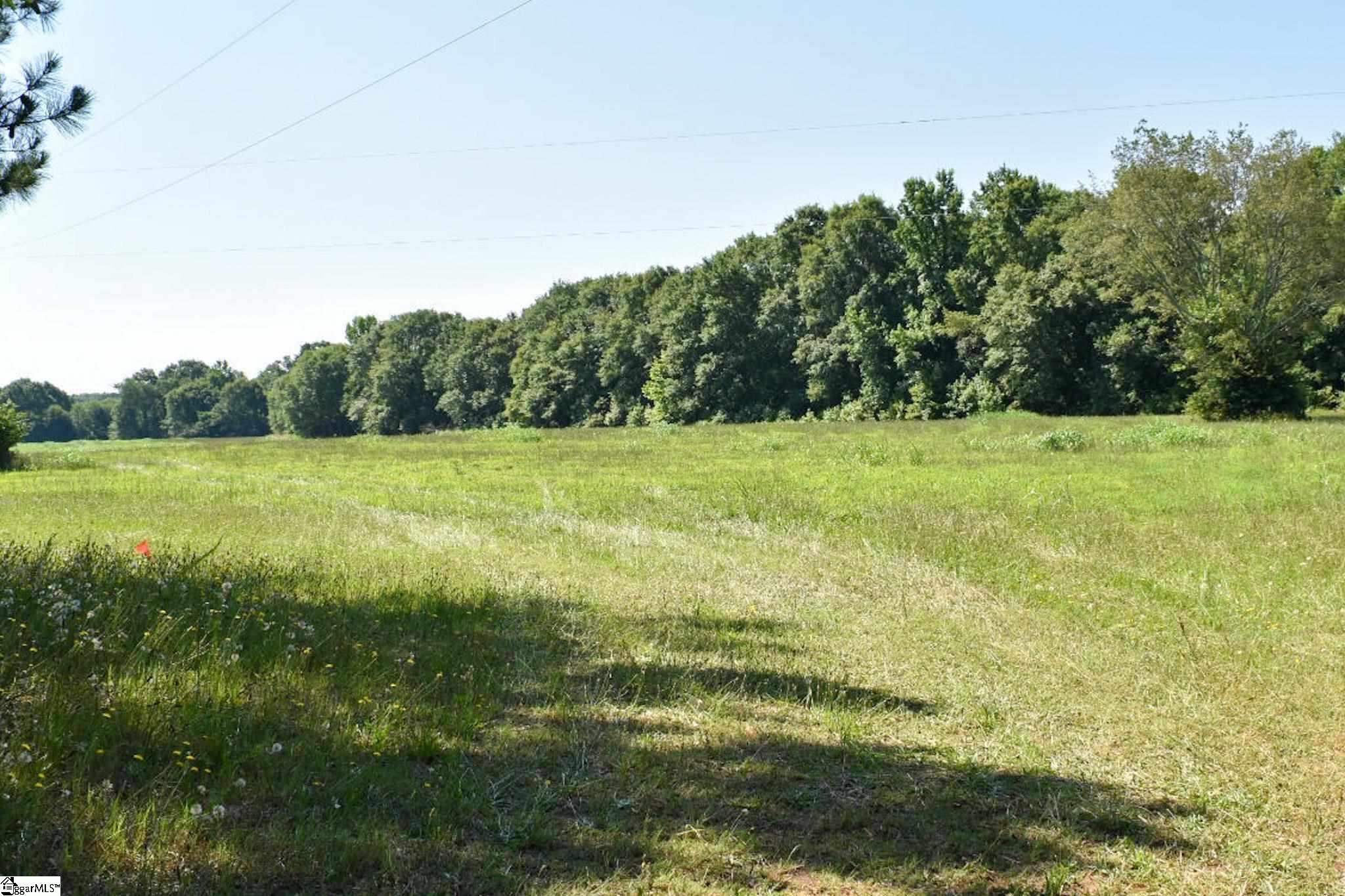 1040 Garrison Road, Unit LOT 8 Pelzer, SC 29669 - Photo 1 of 4
