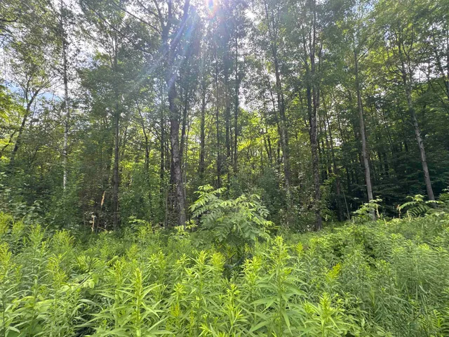 $49,000 | 95 Barrywilde Road, Fairfield, VT 05448