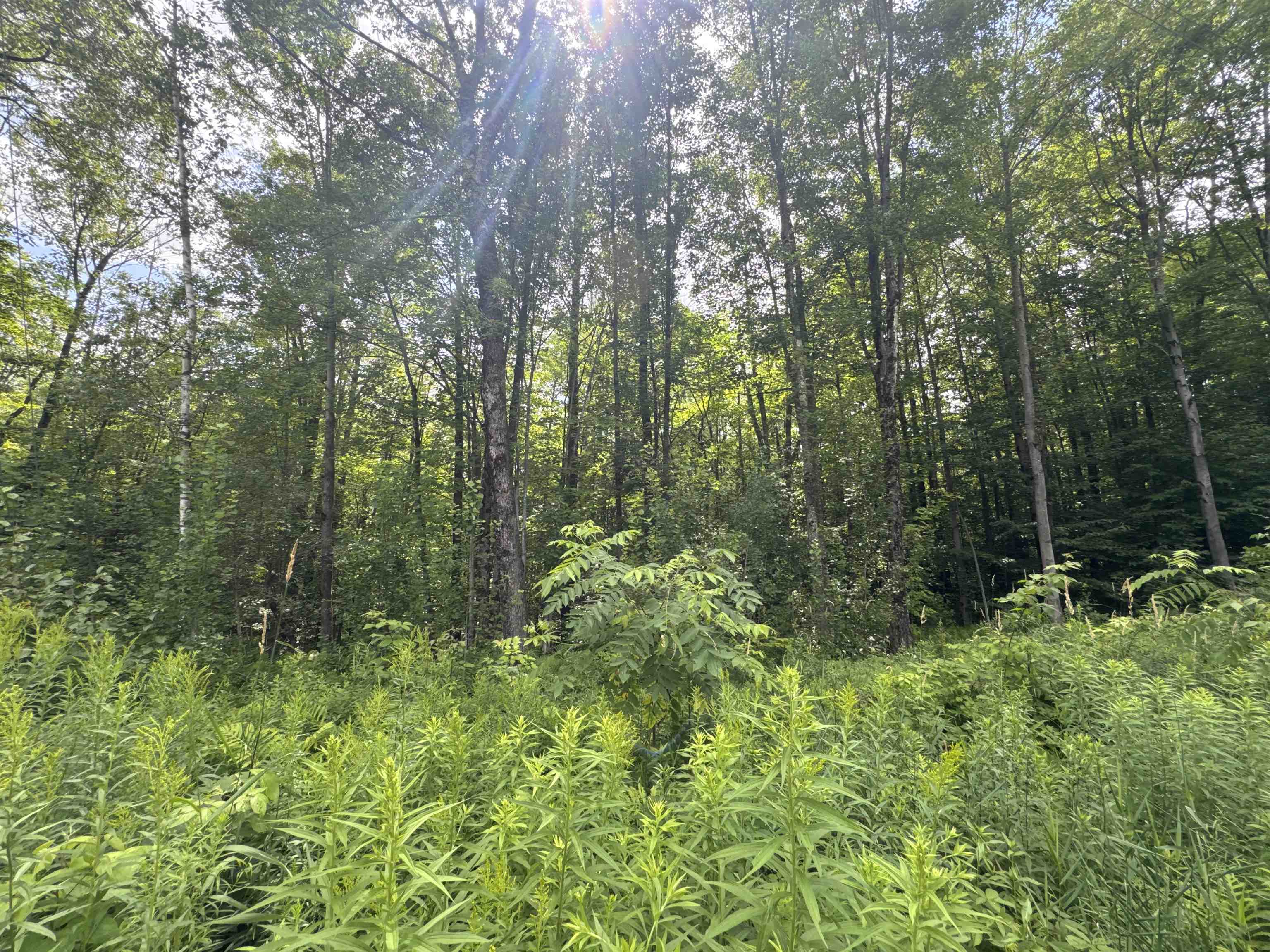 95 Barrywilde Road Fairfield, VT 05448 - Photo 2 of 4