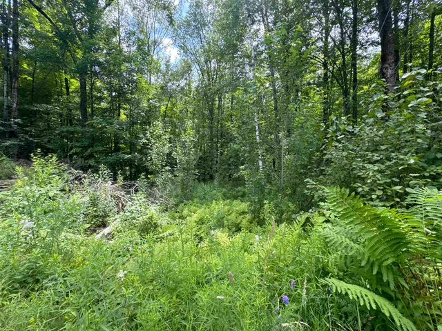 $49,000 | 95 Barrywilde Road, Fairfield, VT 05448