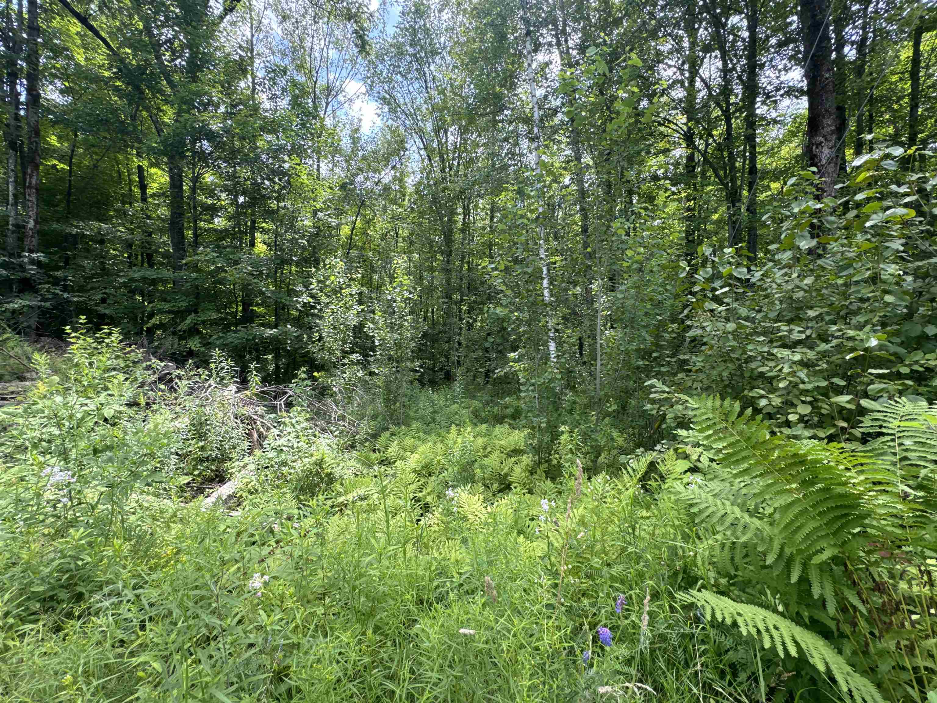 95 Barrywilde Road Fairfield, VT 05448 - Photo 3 of 4