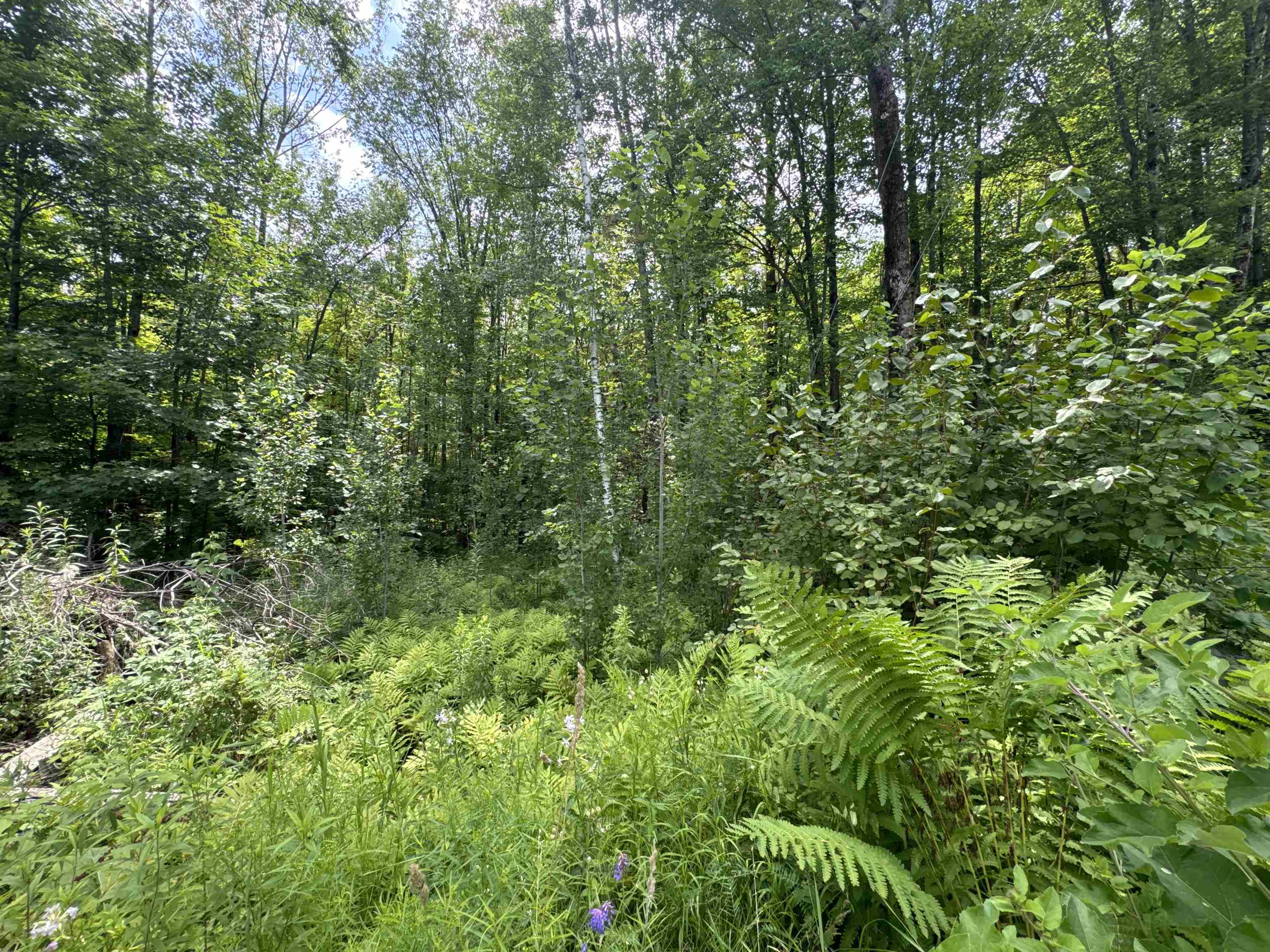 95 Barrywilde Road Fairfield, VT 05448 - Photo 4 of 4