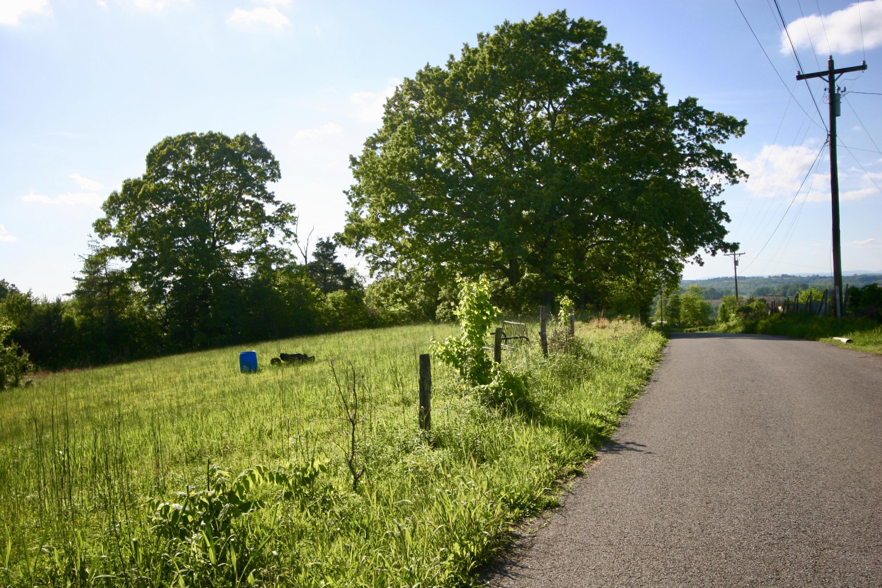 Red Pond Road Sweetwater, TN 37874 - Photo 3 of 29 fullsizeoutput_676