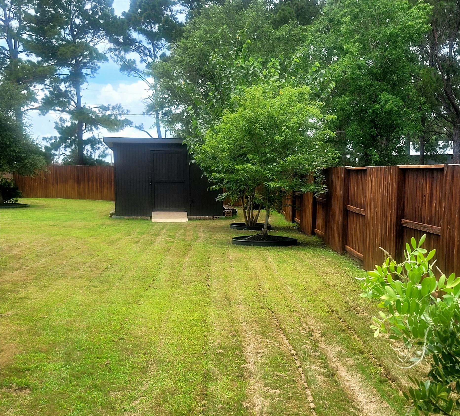 10659 Dolce Lane Rosharon, TX 77583 - Photo 31 of 32