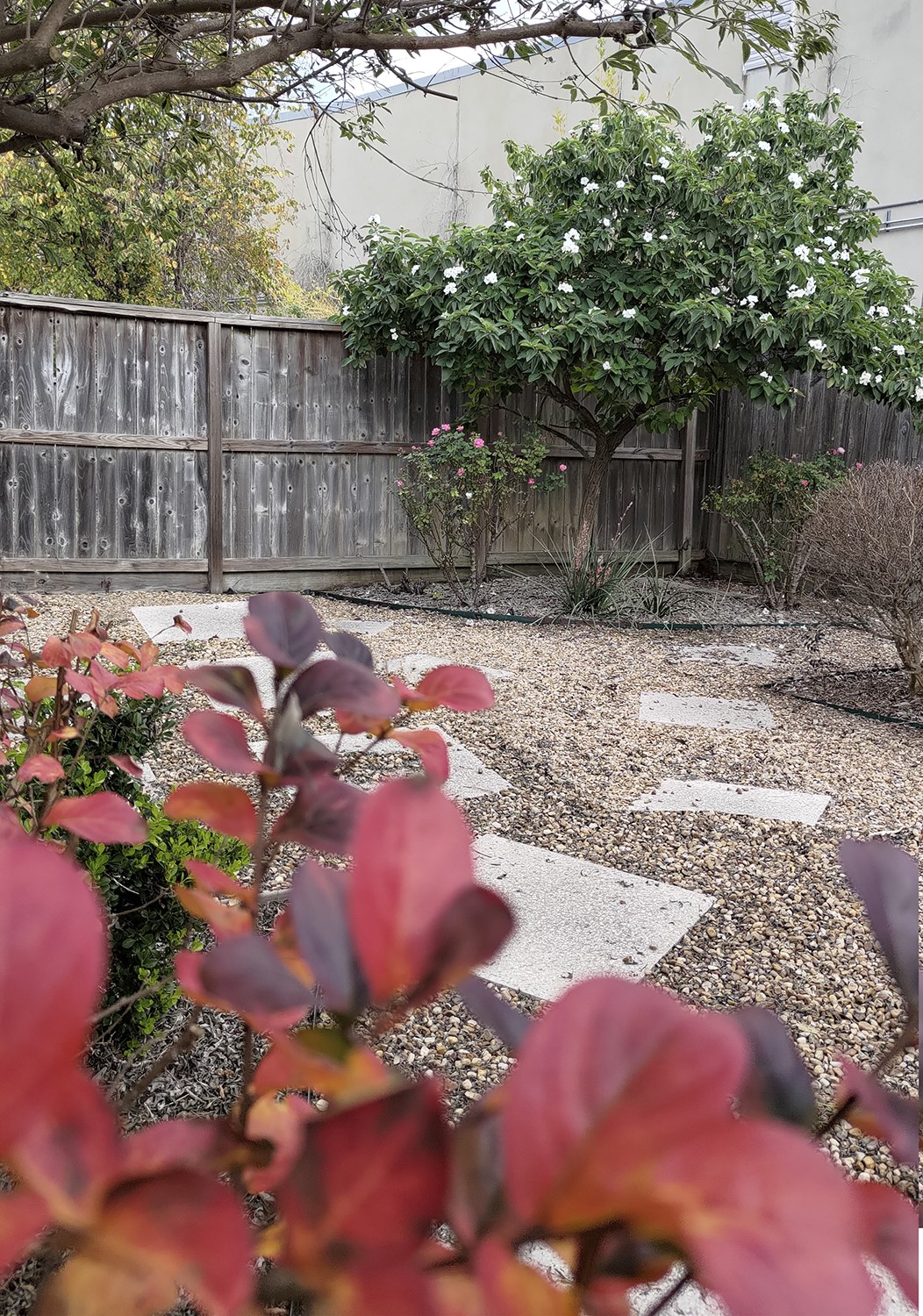 5951 S Loop East, Unit 47 Houston, TX 77033 - Photo 36 of 37 (Spring picture) This backyard offers a serene garden with a gravel path and stepping stones, surrounded by vibrant plants and a mature tree, all enclosed by a rustic wooden fence.