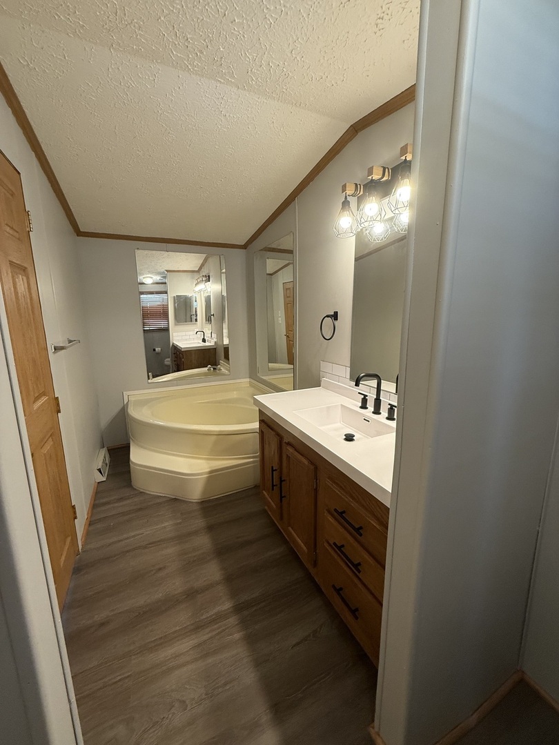 317 Pleasant Terrace Matteson, IL 60443 - Photo 13 of 23 a bathroom with sink mirror and bathtub