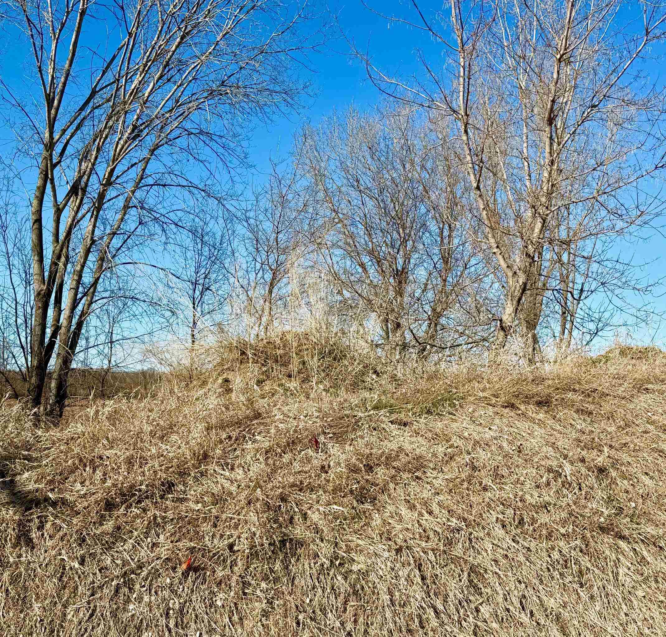 3869 VanLaanen Road Green Bay, WI 54311 - Photo 7 of 8
