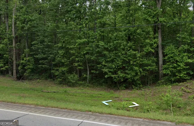 a view of a yard with a trees