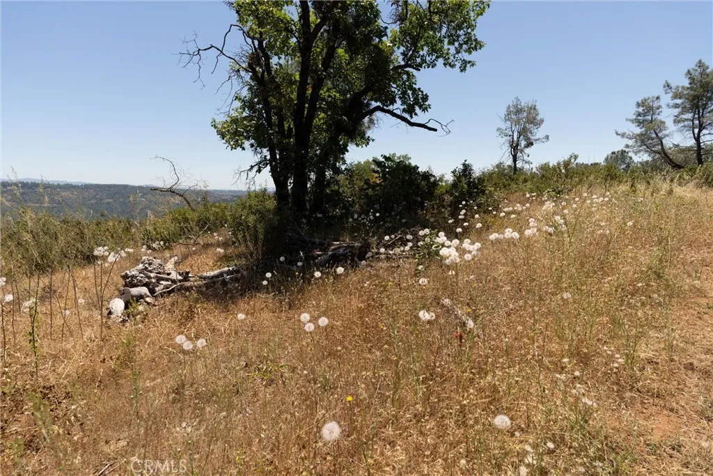 0 Doe Mill Road Magalia, CA 95954 - Photo 14 of 48 Gallery Image 14